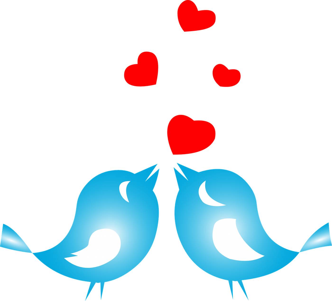 love birds animals flying hearts  svg vector