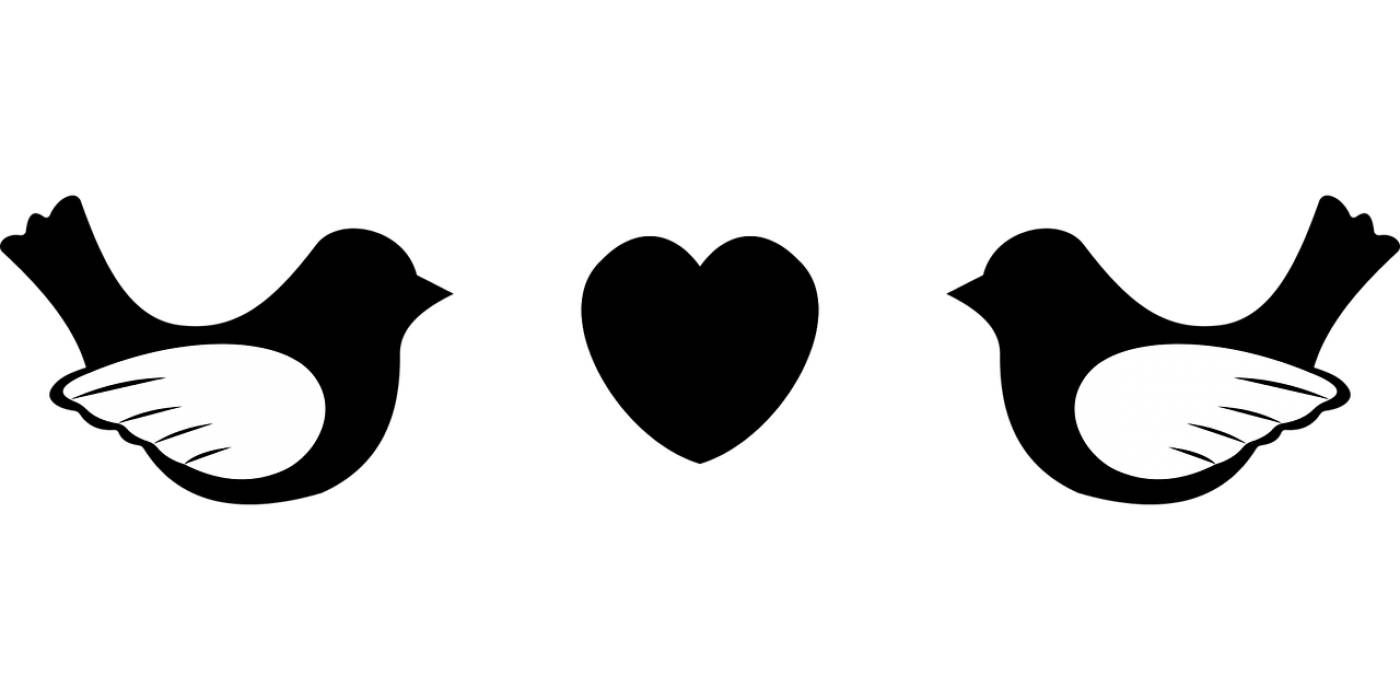 love birds animals flying hearts  svg vector