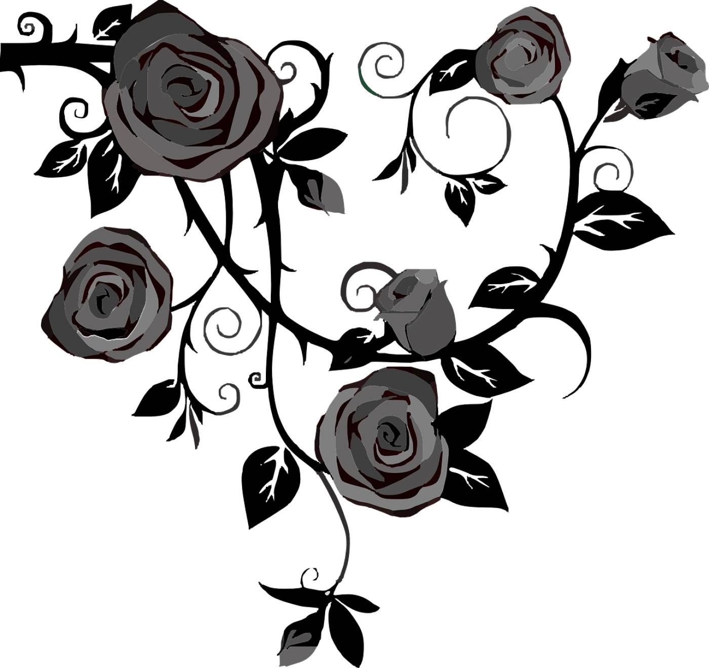 roses flowers gray black floral  svg vector