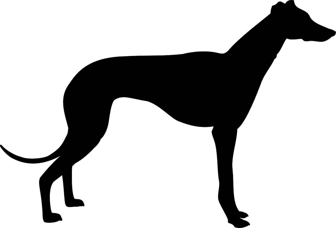breed dog animal hound shape  svg vector