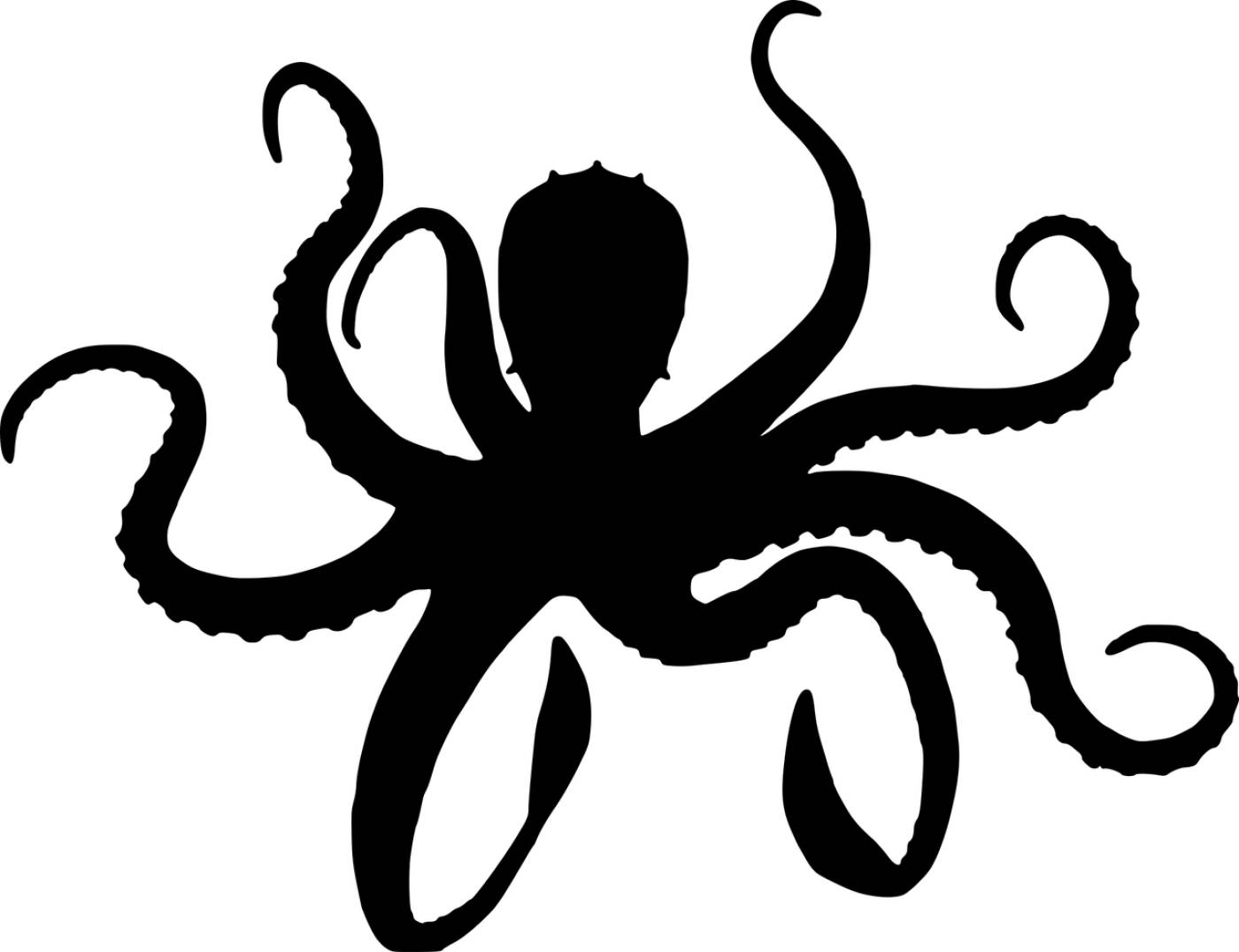 silhouette octopus vector graphic  svg vector