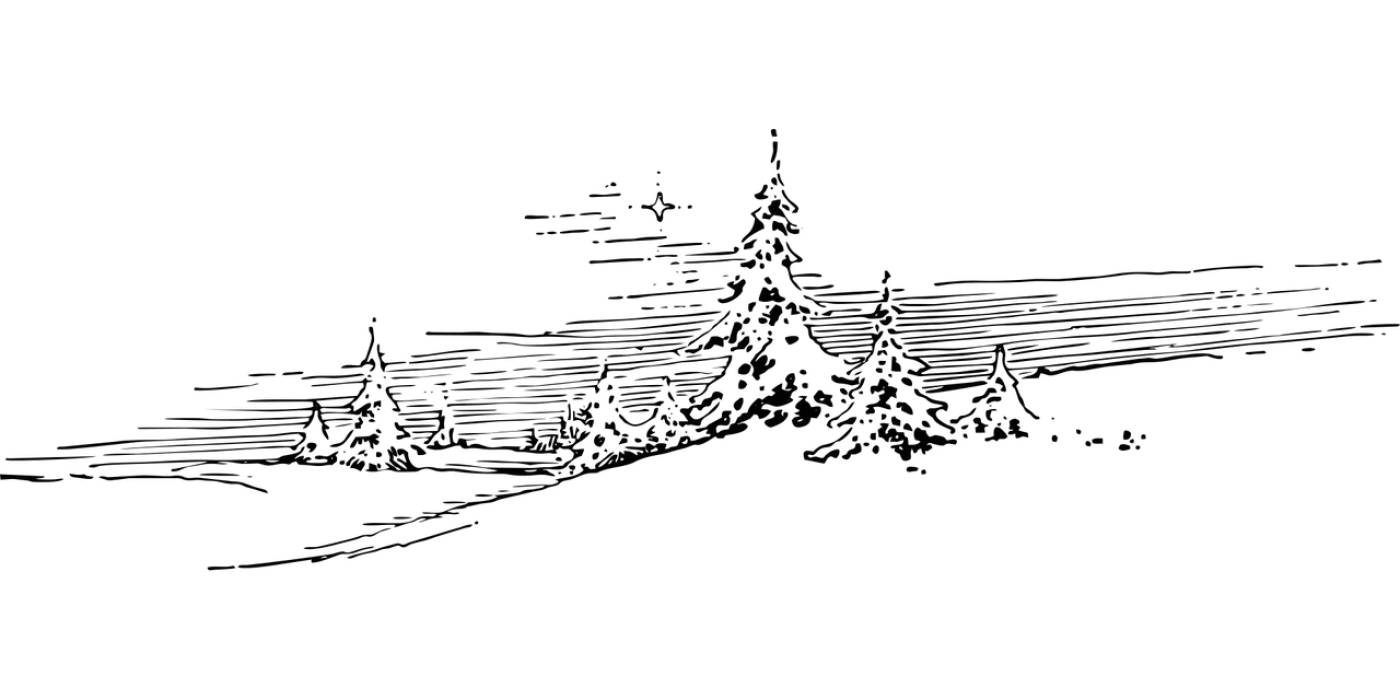 winter snow evergreen pine  svg vector