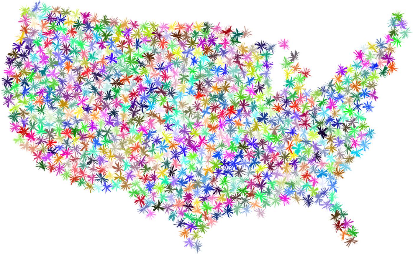 america map floral decorative  svg vector
