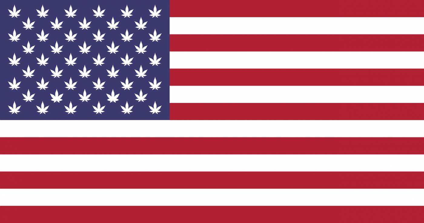 american flag flag hemp weed  svg vector