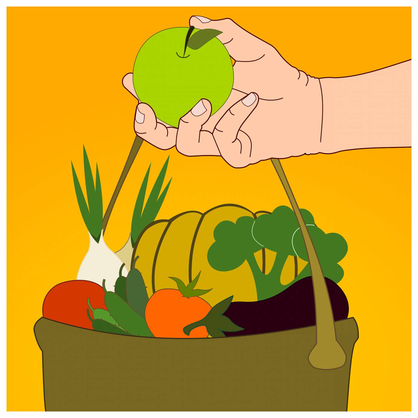 apple fruit vegetable healthy  svg vector