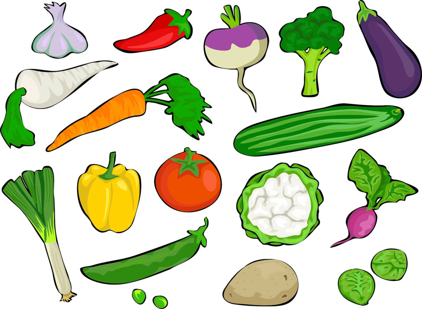 bell pepper broccoli  svg vector