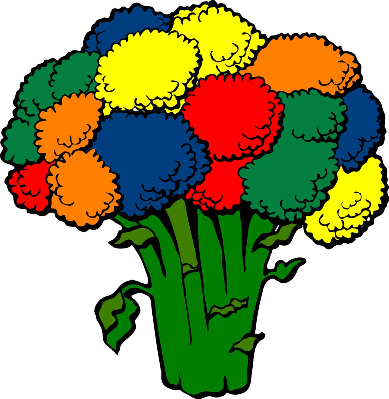 broccoli colors vegetable food  svg vector