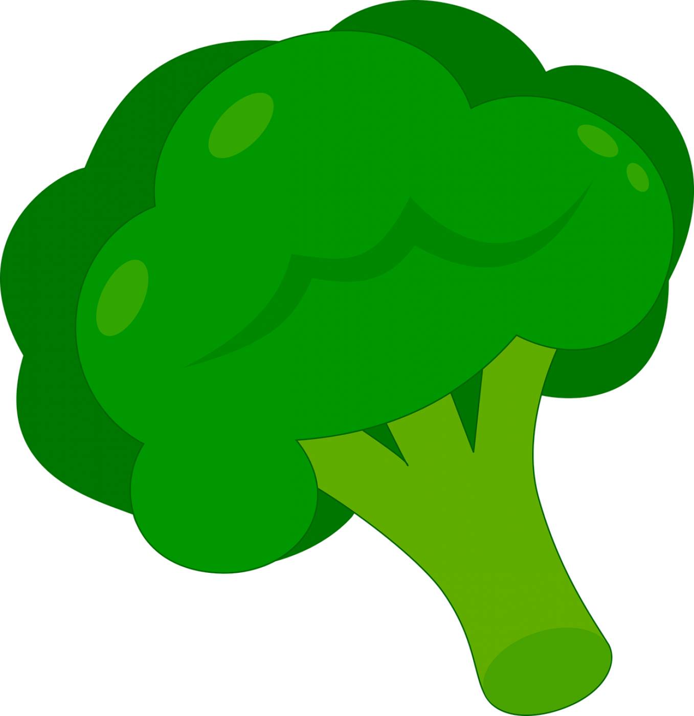 broccoli vegetable green healthy  svg vector