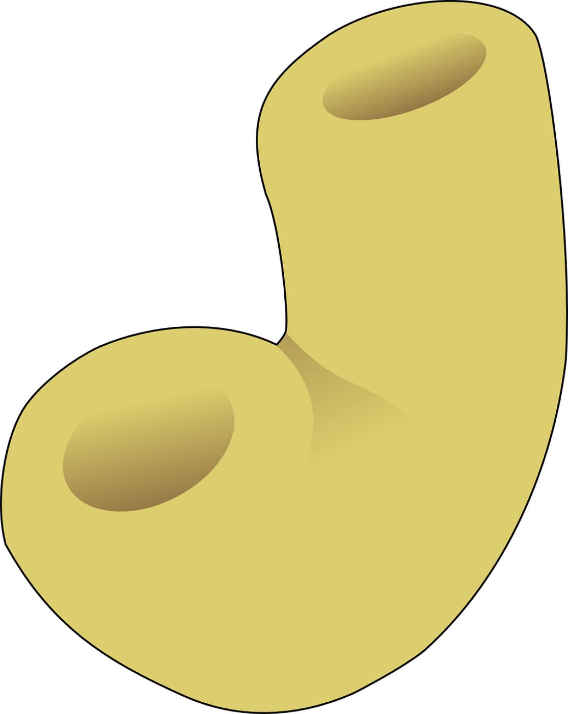 macaroni noodle pasta food piece  svg vector