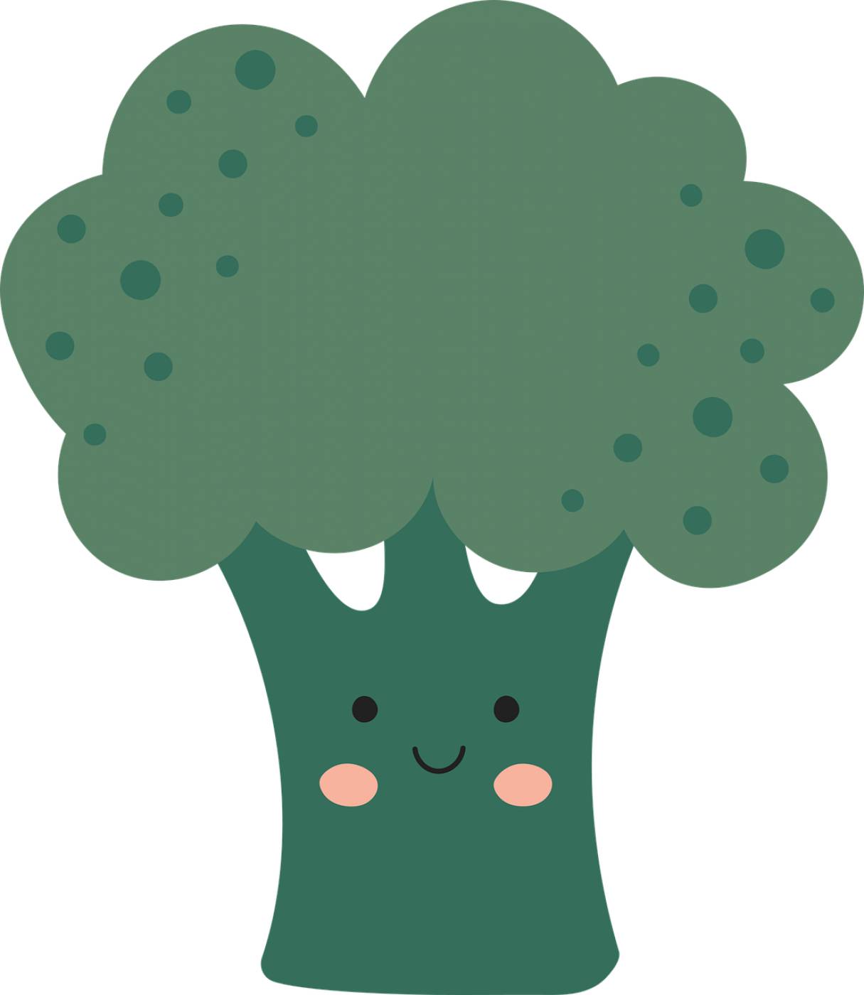 vegetable broccoli healthy food  svg vector