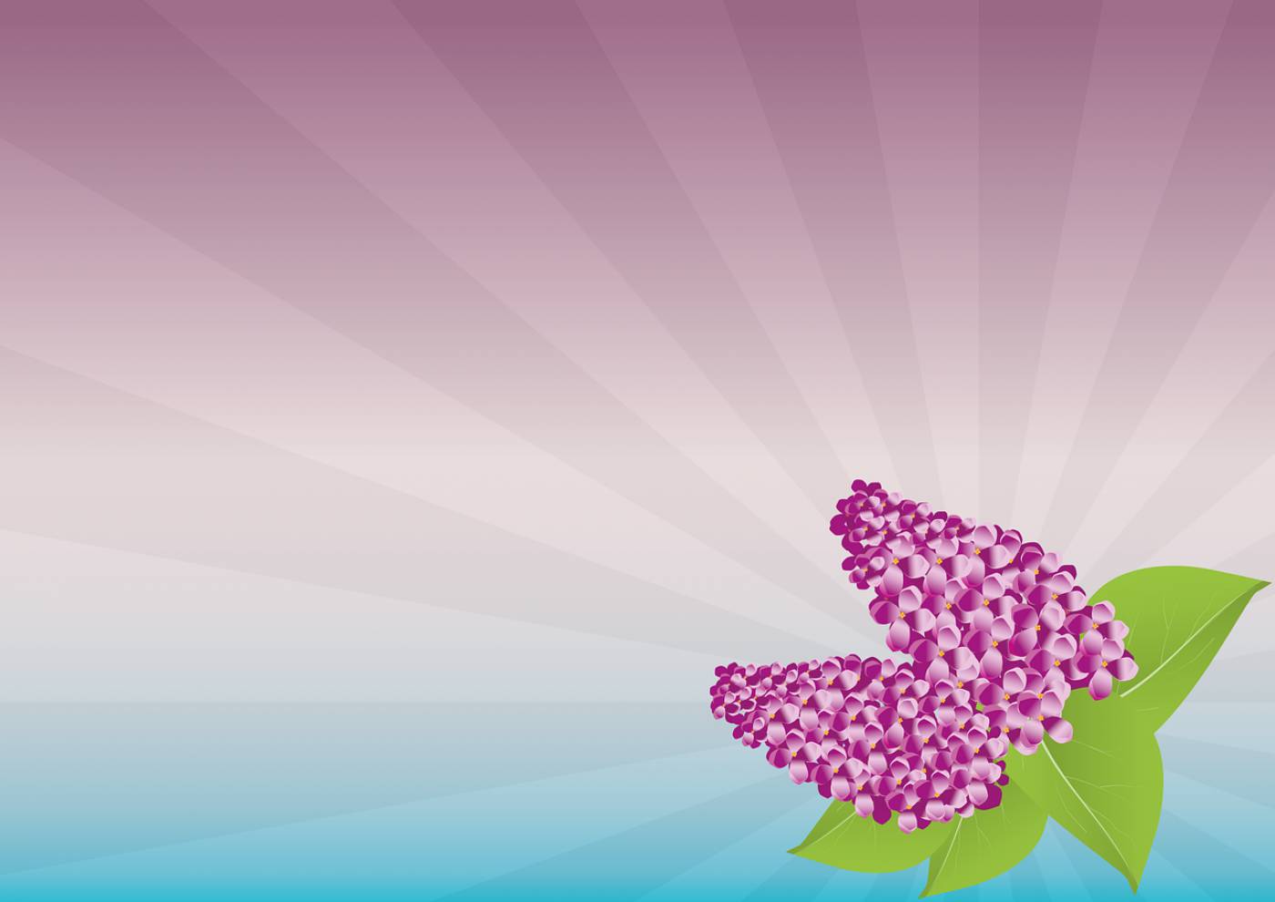 lilac flowers wallpaper  svg vector