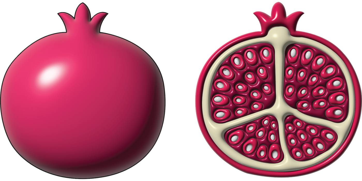 pomegranate fruit sliced pomegranate  svg vector