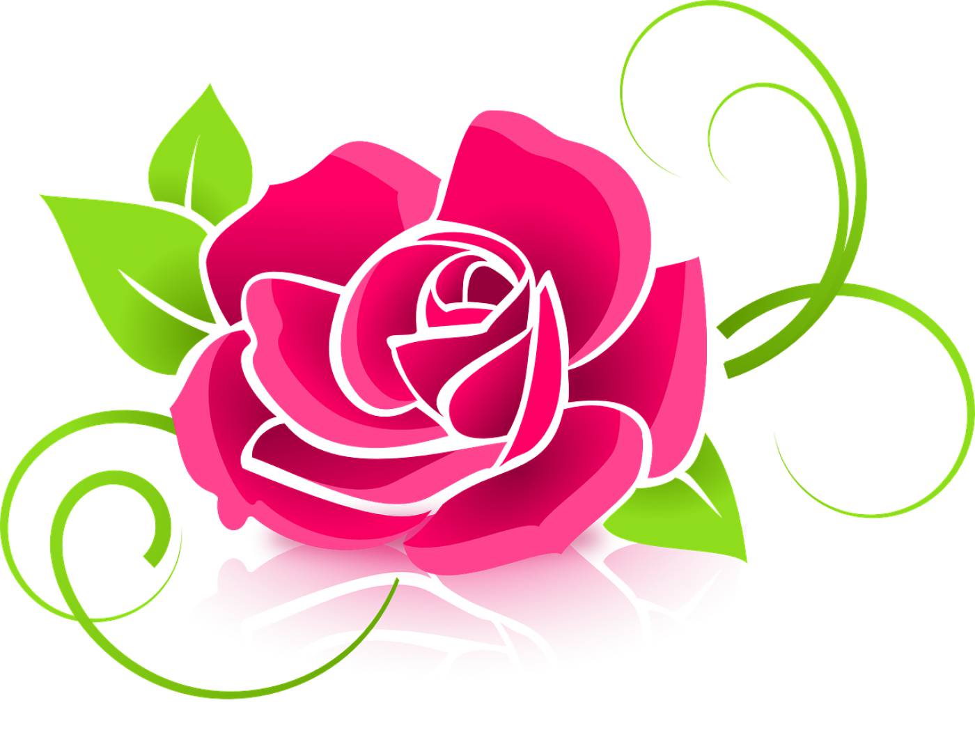 rose flower petals bloom pink rose  svg vector