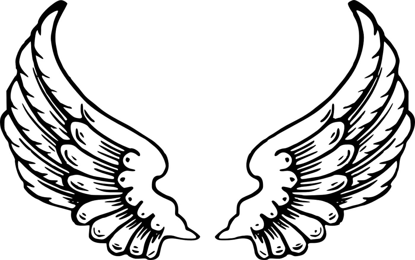 angel wings wings feathers  svg vector