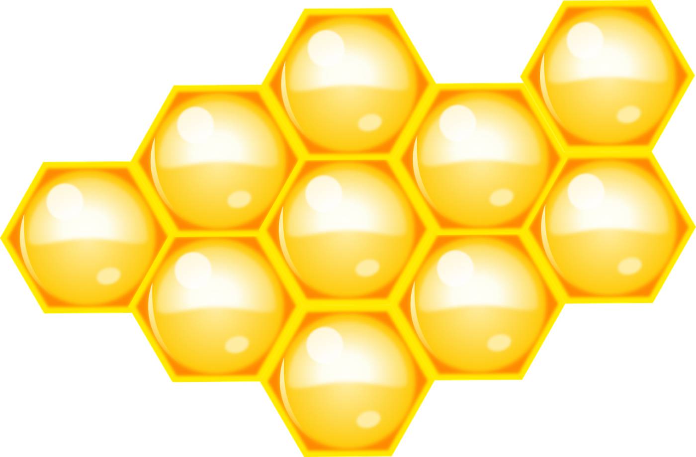 bee beehive hive honey honeycomb  svg vector