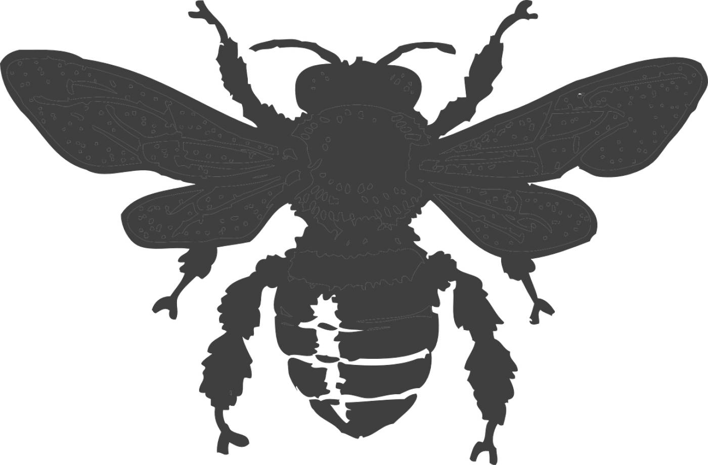 bee beehive honey nature dark  svg vector