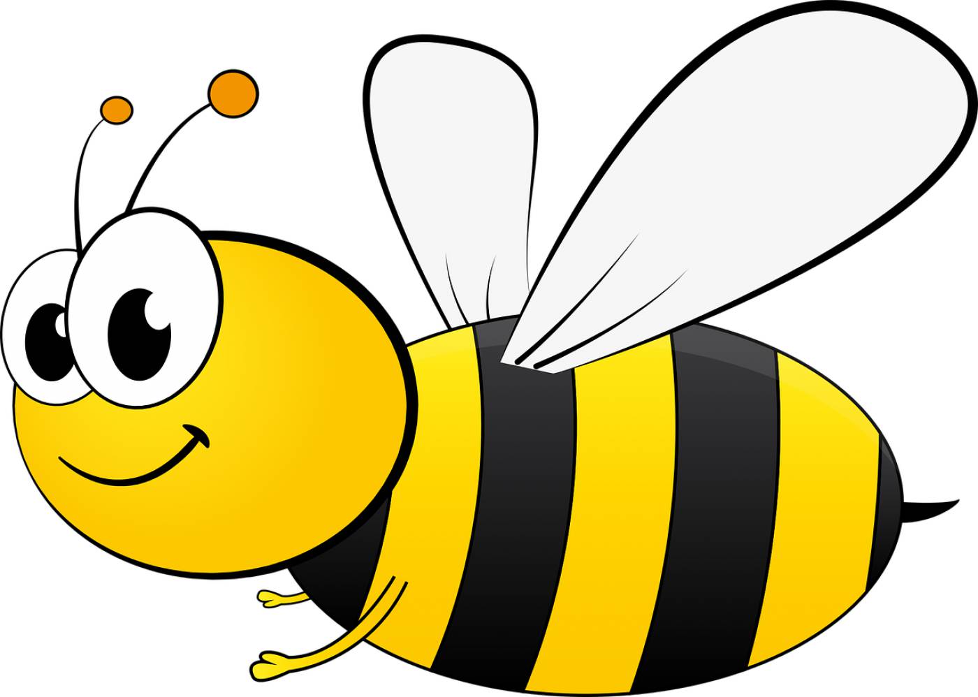 bee bi cartoon honey insect  svg vector