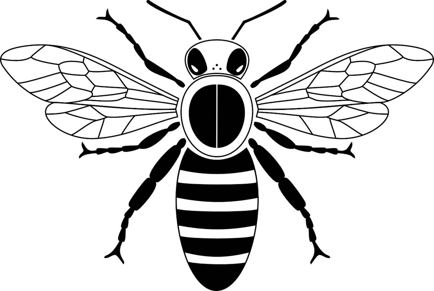 bee fly honey insect wings bee  svg vector