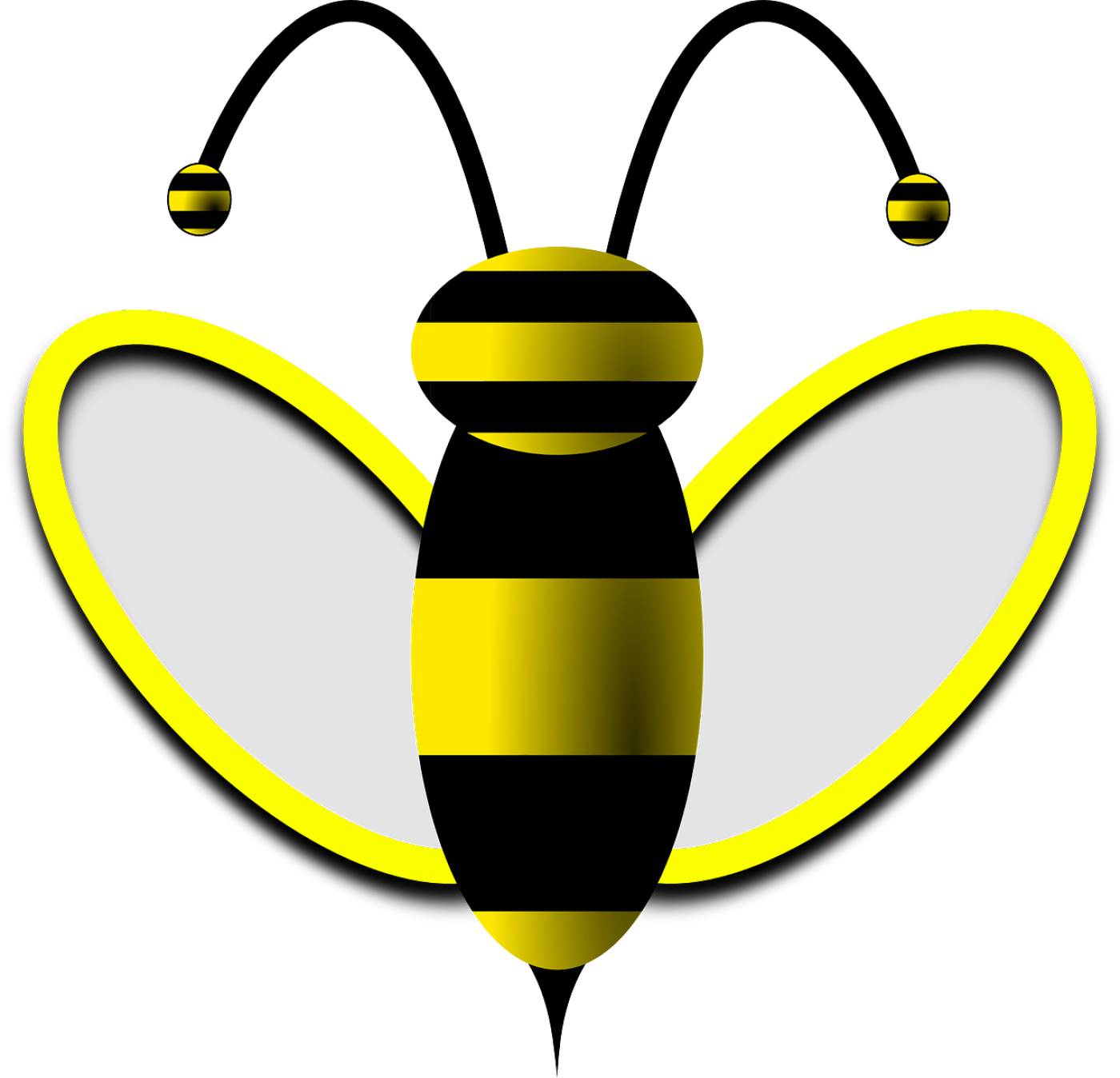 bee honey bee wasp honey nature  svg vector
