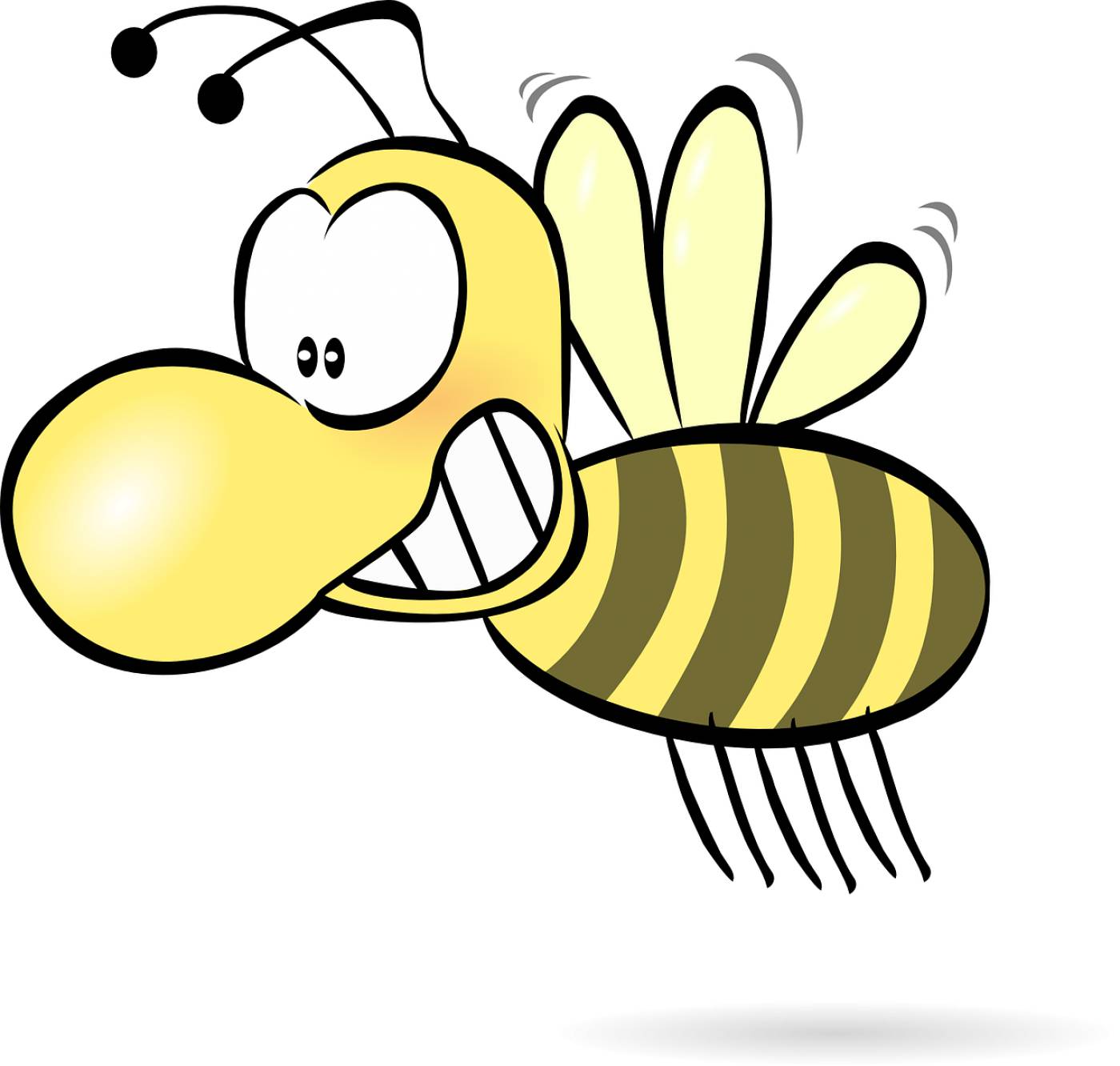 bee honey wasp hornet funny cute  svg vector