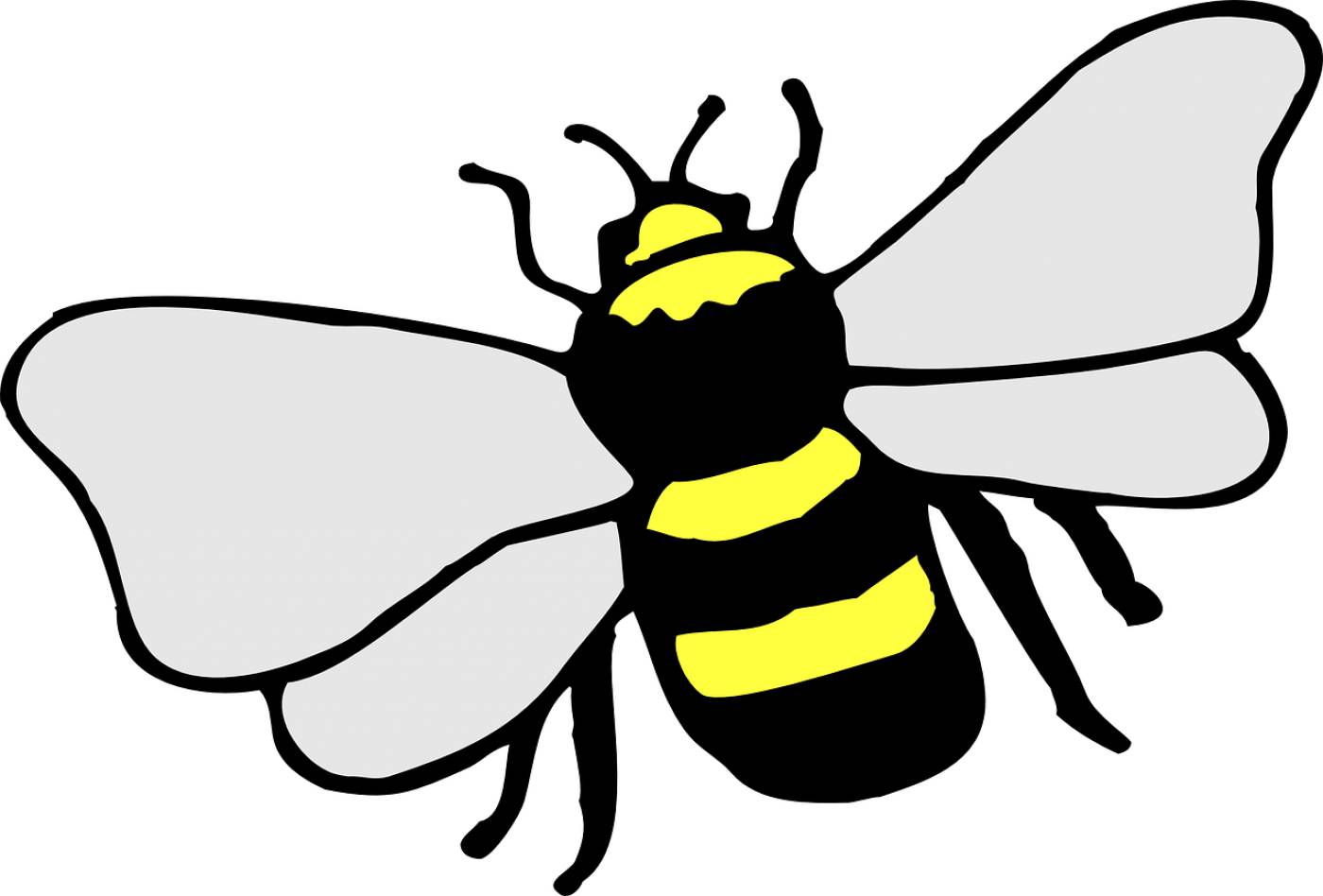 bee insect stripes yellow black  svg vector