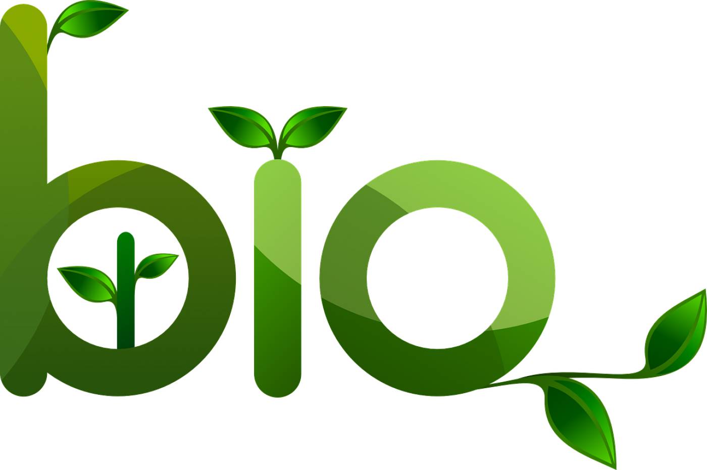 bio friendly environment plant eco  svg vector