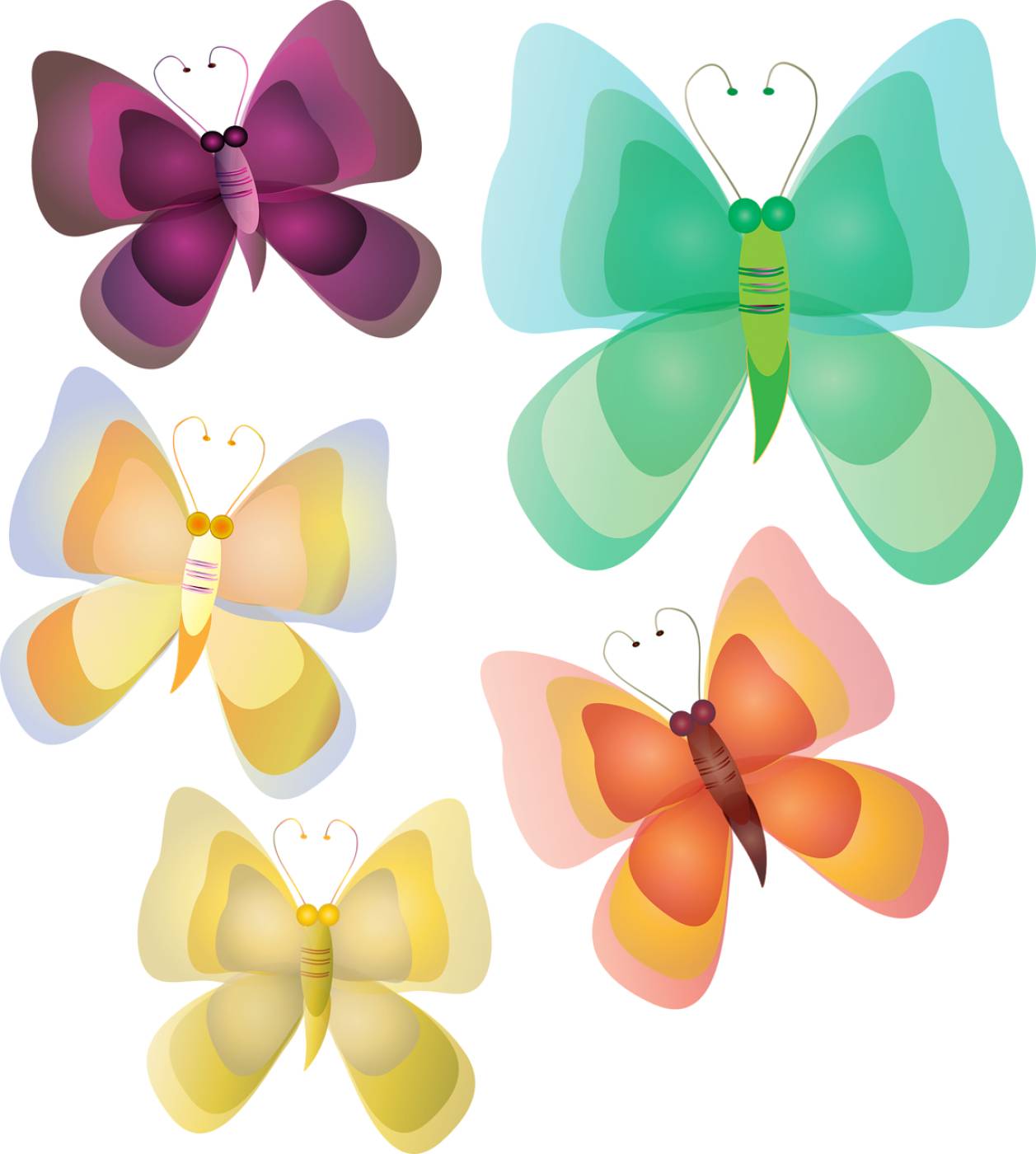 bugs butterfly colors butterfly  svg vector