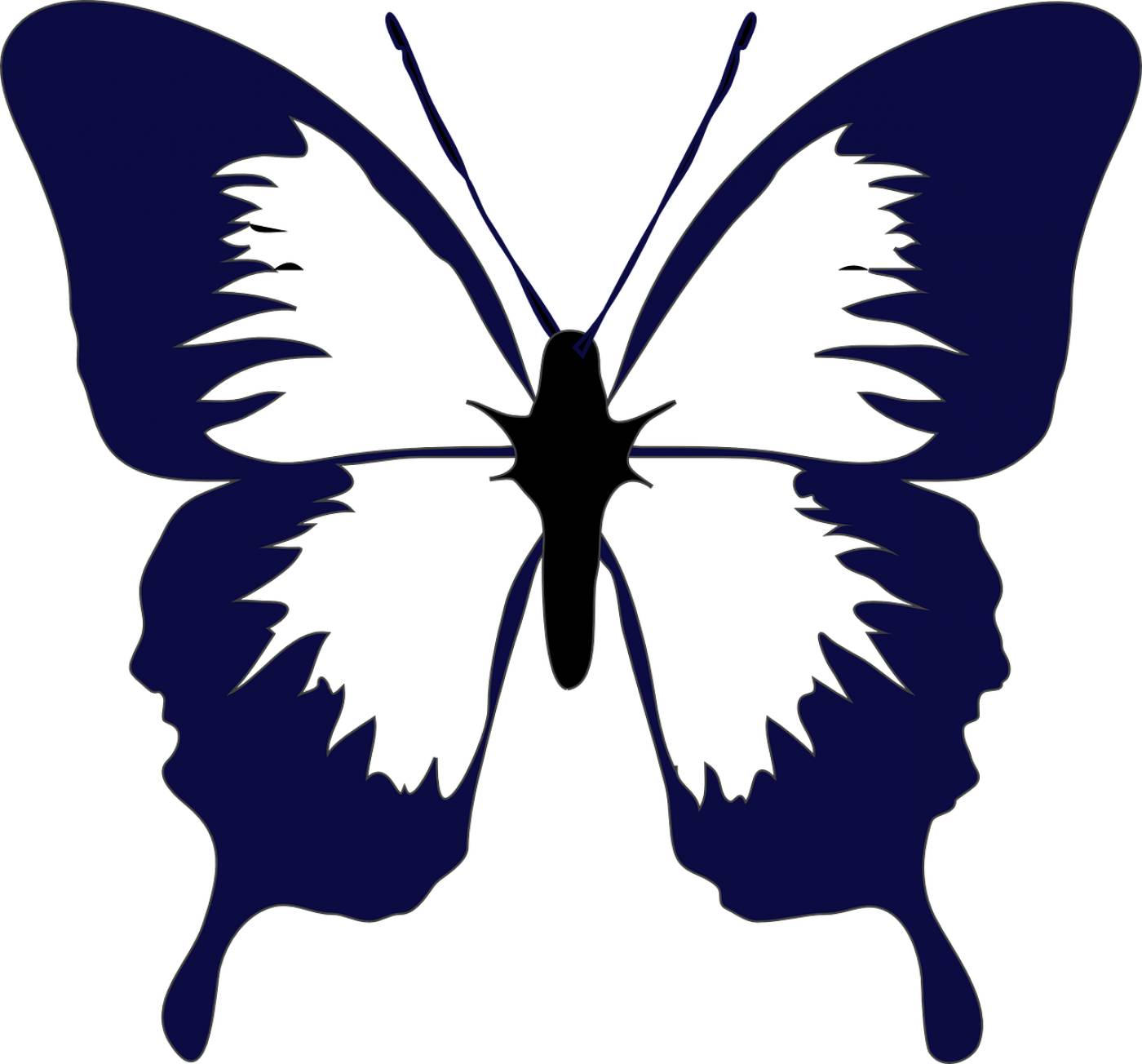 butterfly insect fauna blue  svg vector
