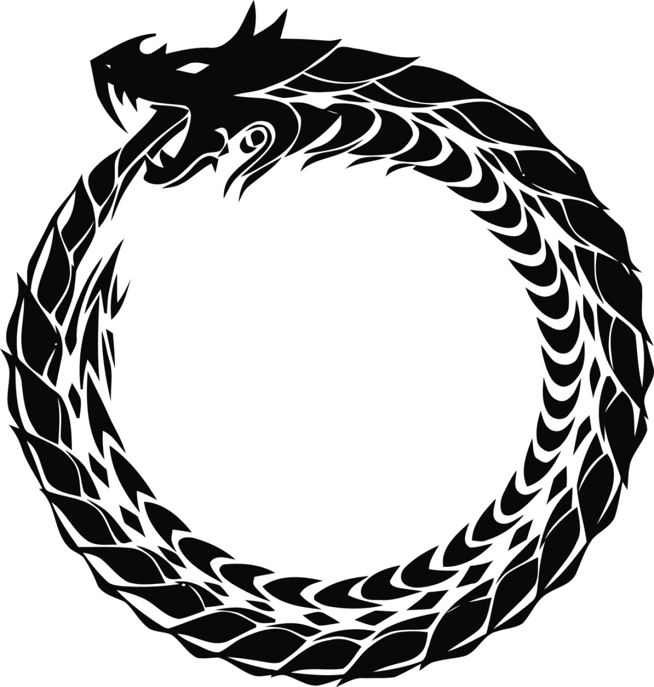 circle icons dragon ring snake  svg vector
