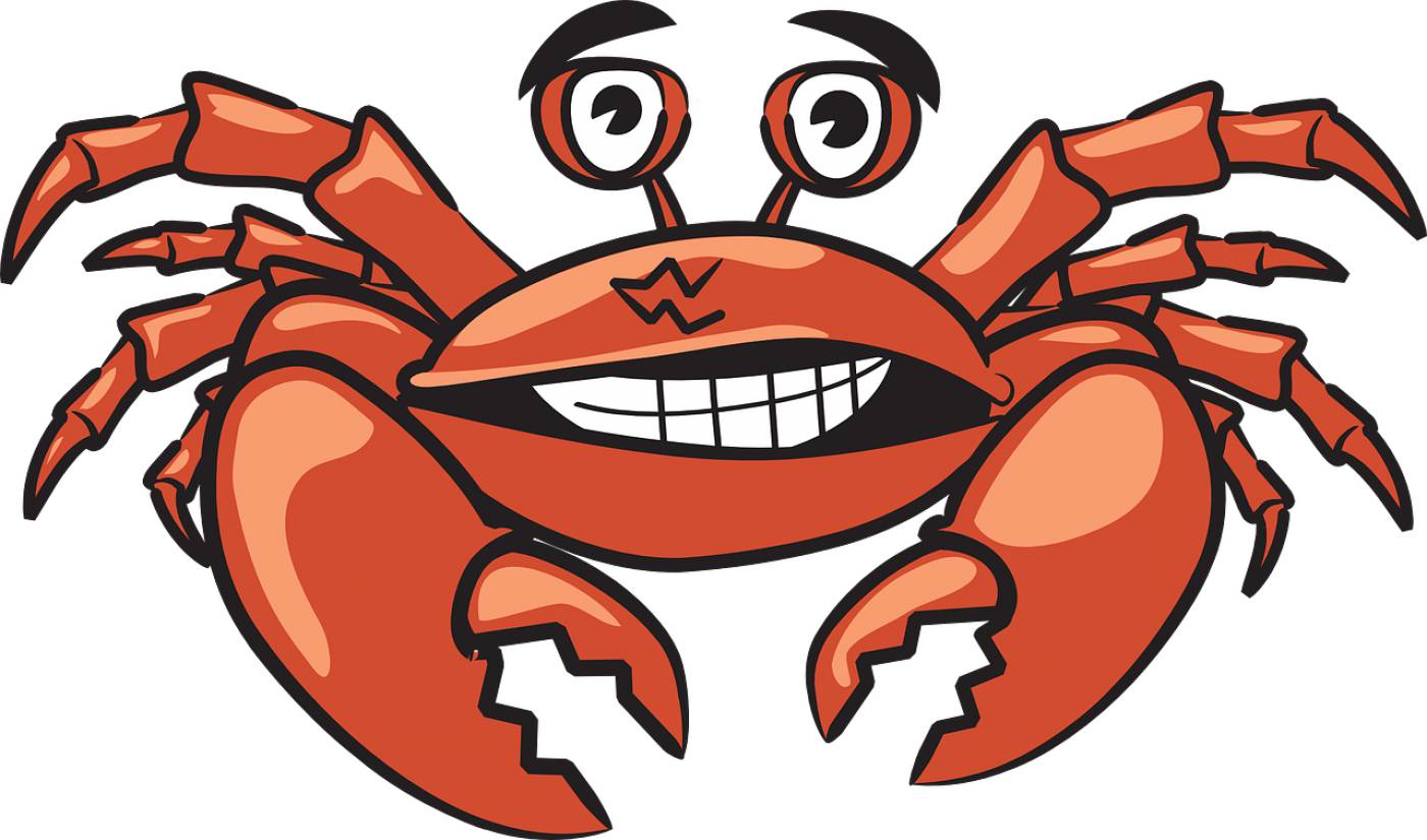 crab crustacean shellfish seafood  svg vector