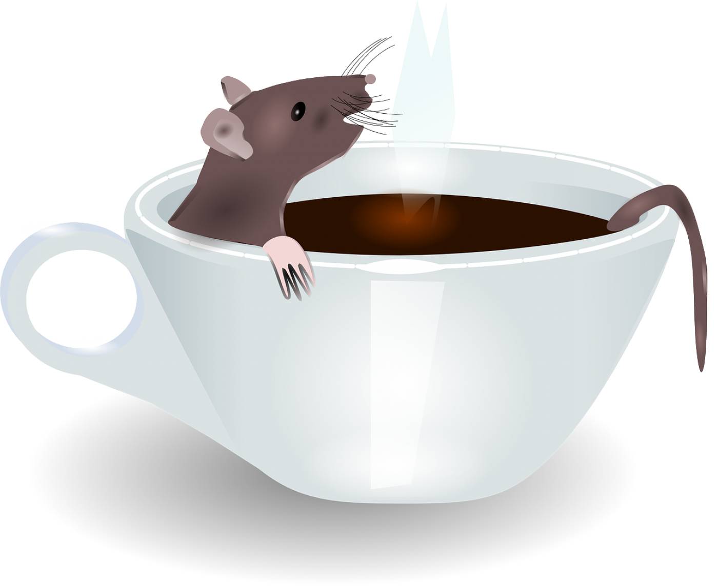 cup rat coffee morning steam bath  svg vector