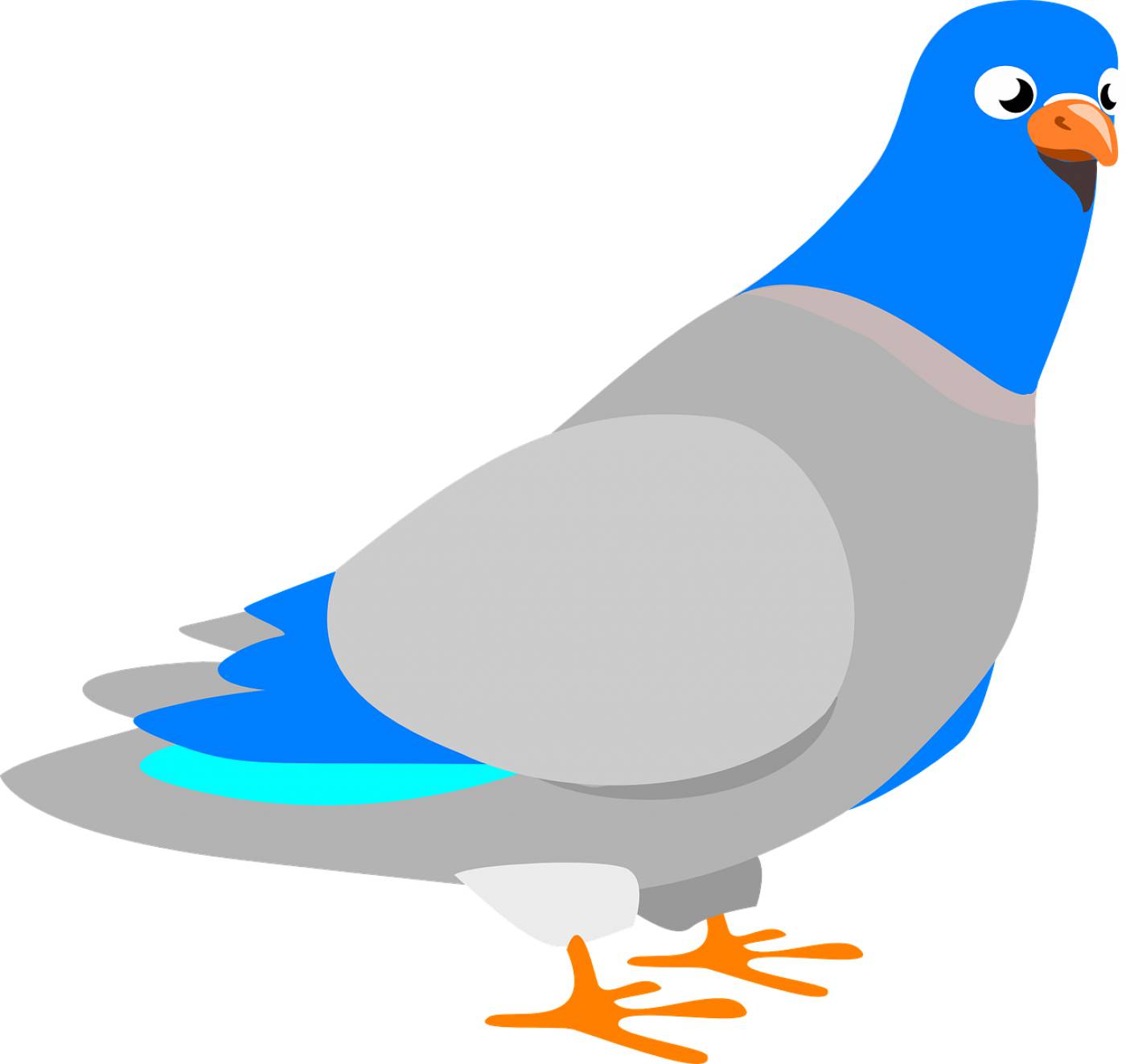 dove bird animal pigeon peace  svg vector