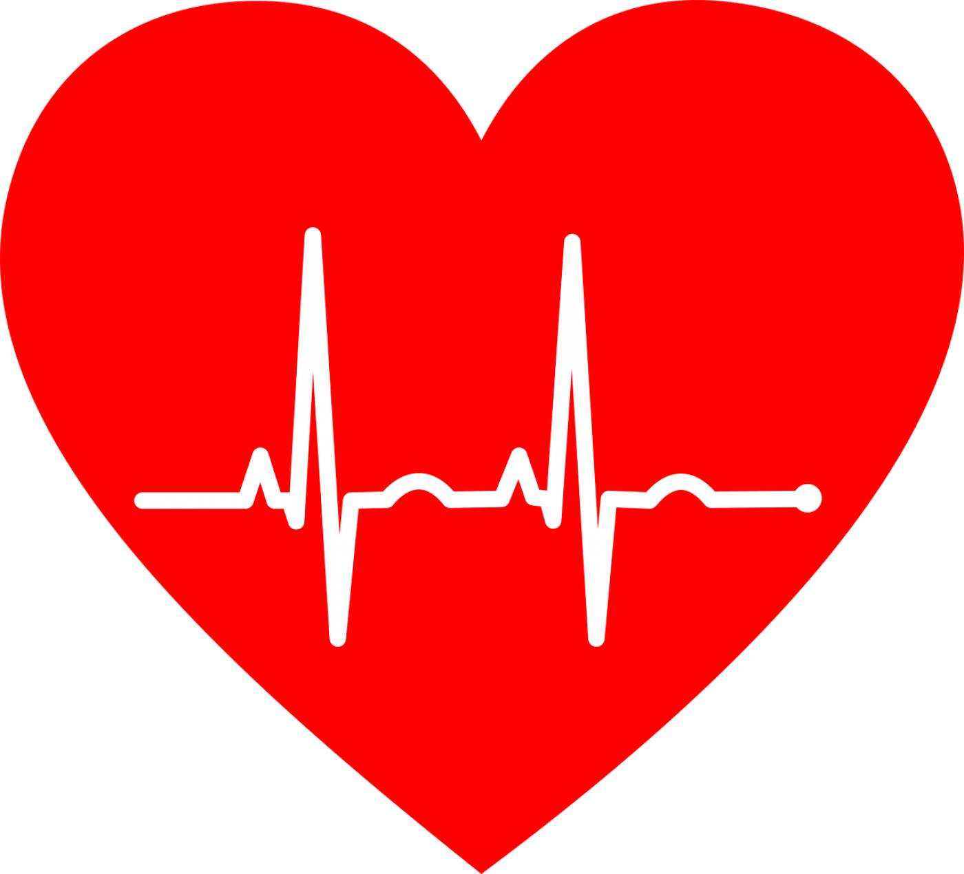 ekg electrocardiogram heart art  svg vector