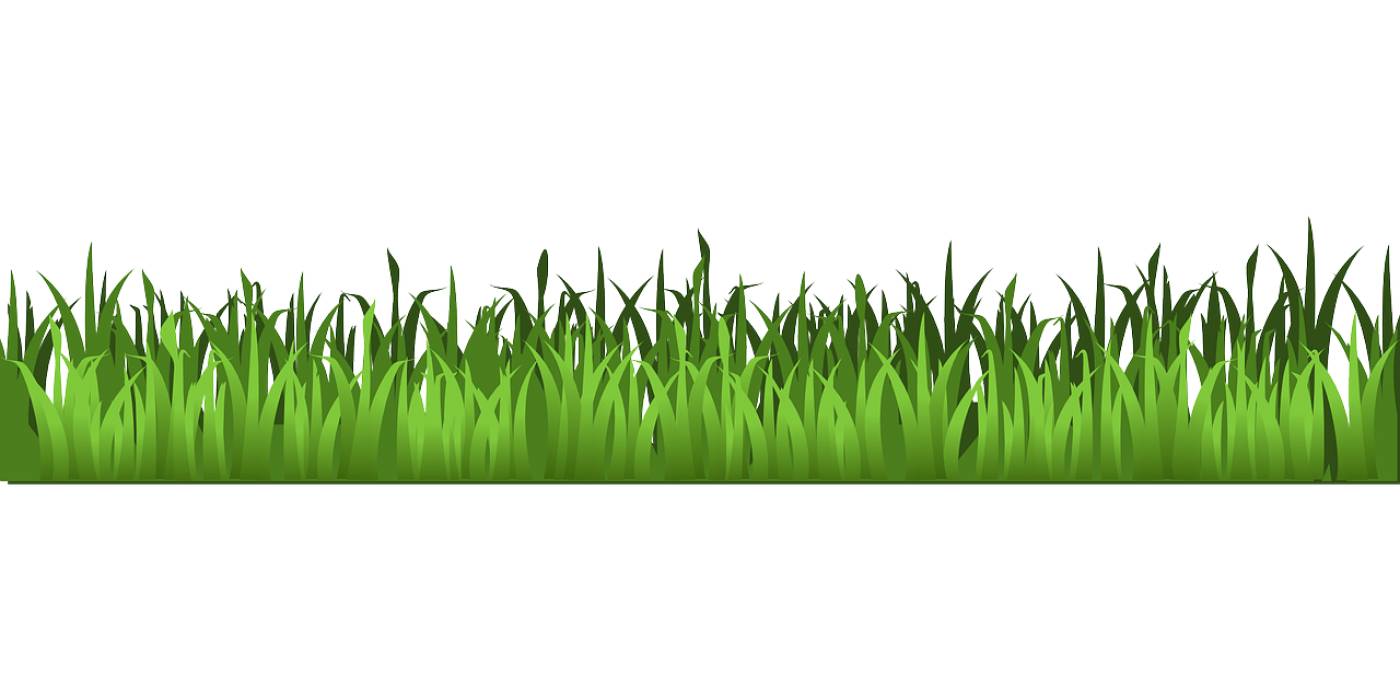 grass meadow green agriculture  svg vector