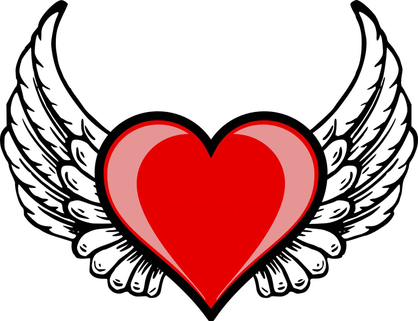 heart wing amor cupid love  svg vector