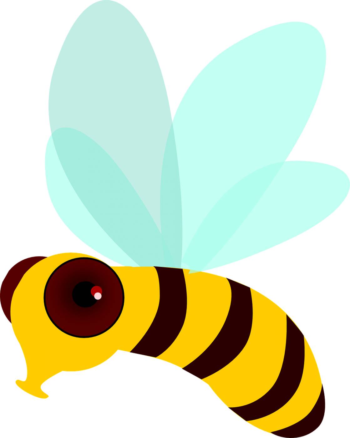 honey bee bee fly insect wings  svg vector