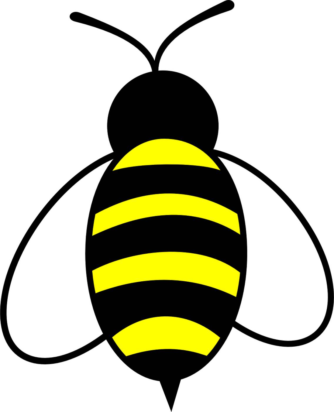 honey bee bug insect buzz yellow  svg vector