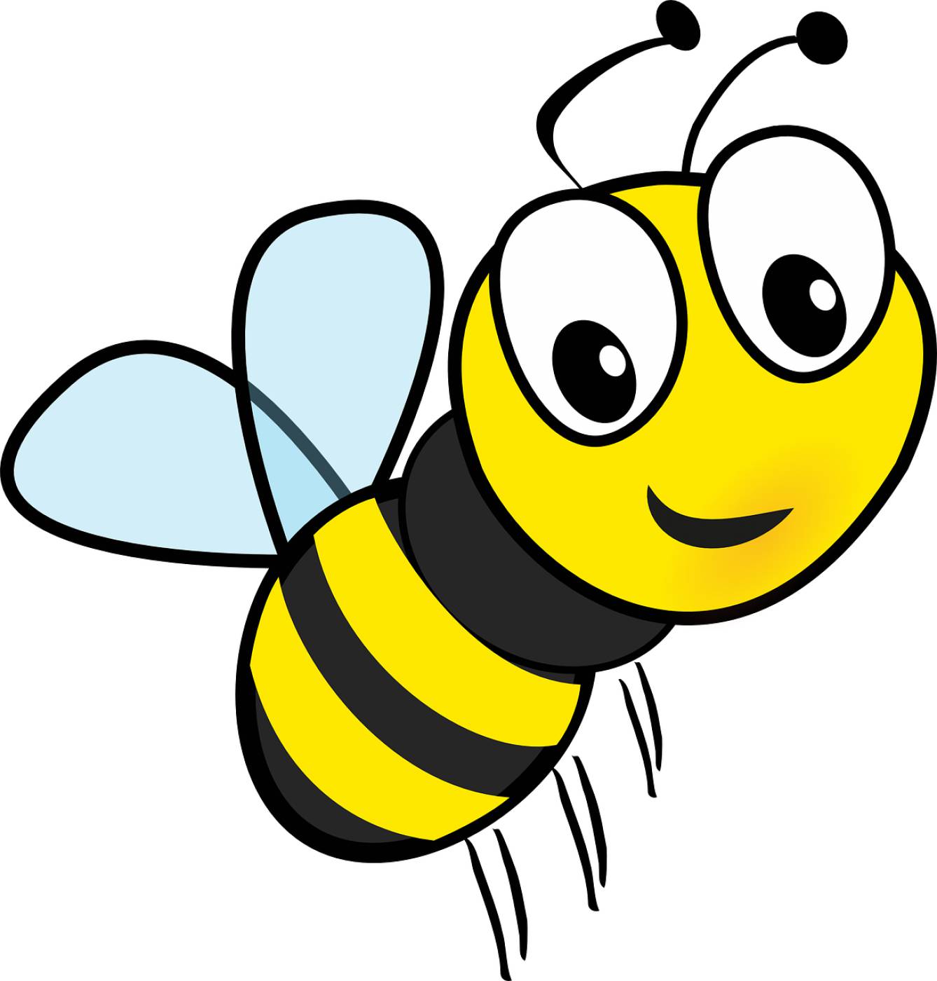 honey bee flying insect honeybee  svg vector