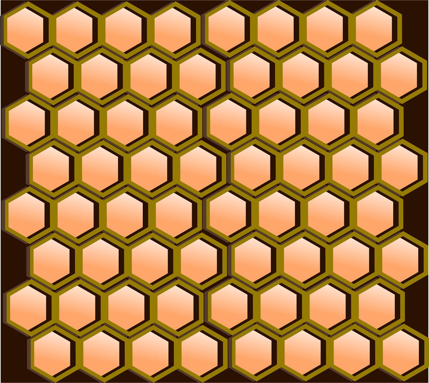 honeycomb comb hexagonal cells  svg vector