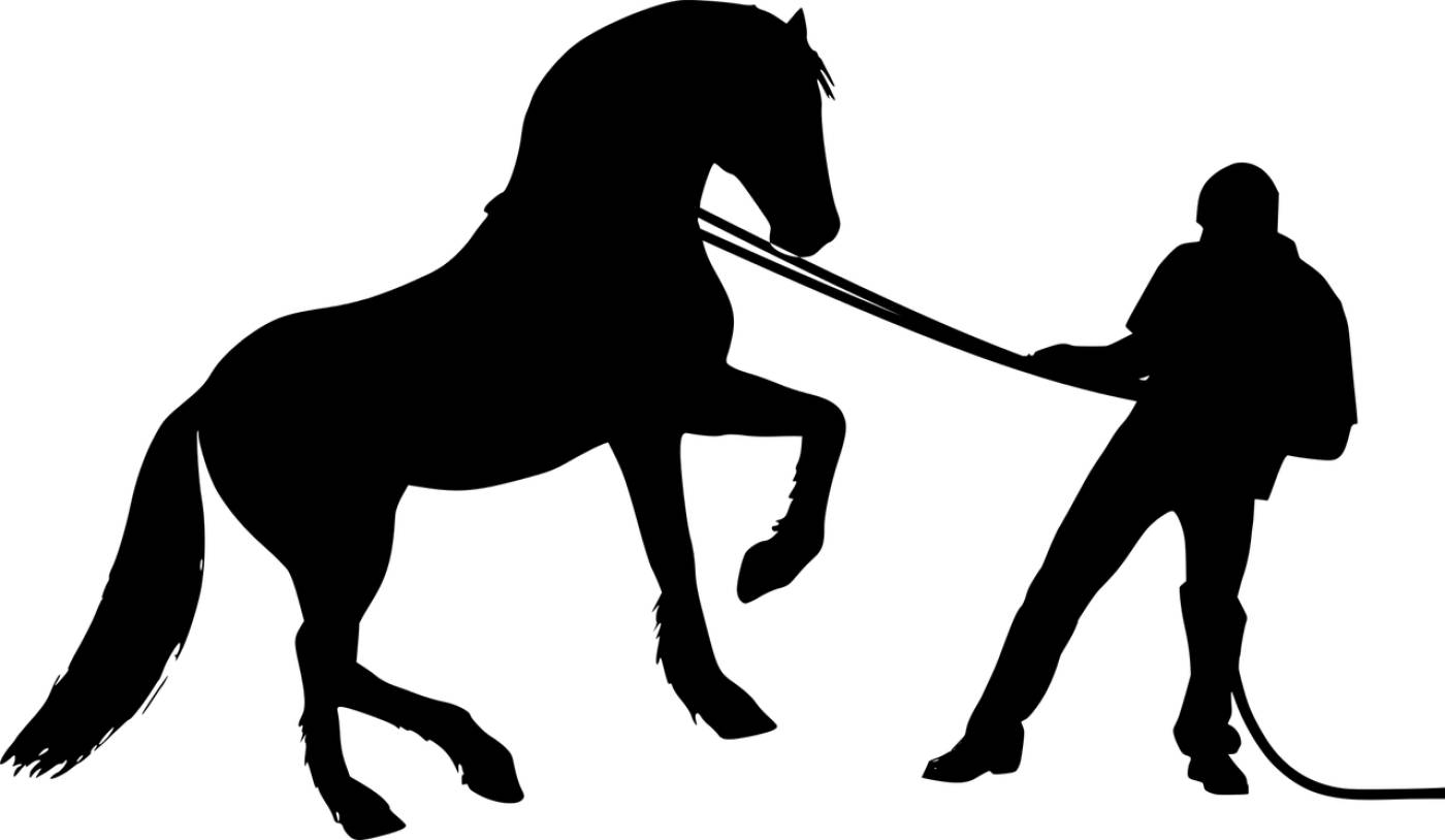 horse man training wild silhouette  svg vector