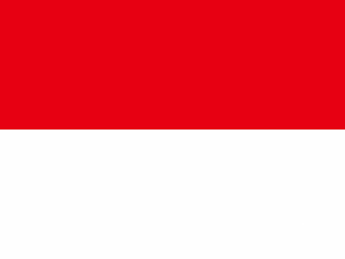 indonesia flag asia symbol country  svg vector