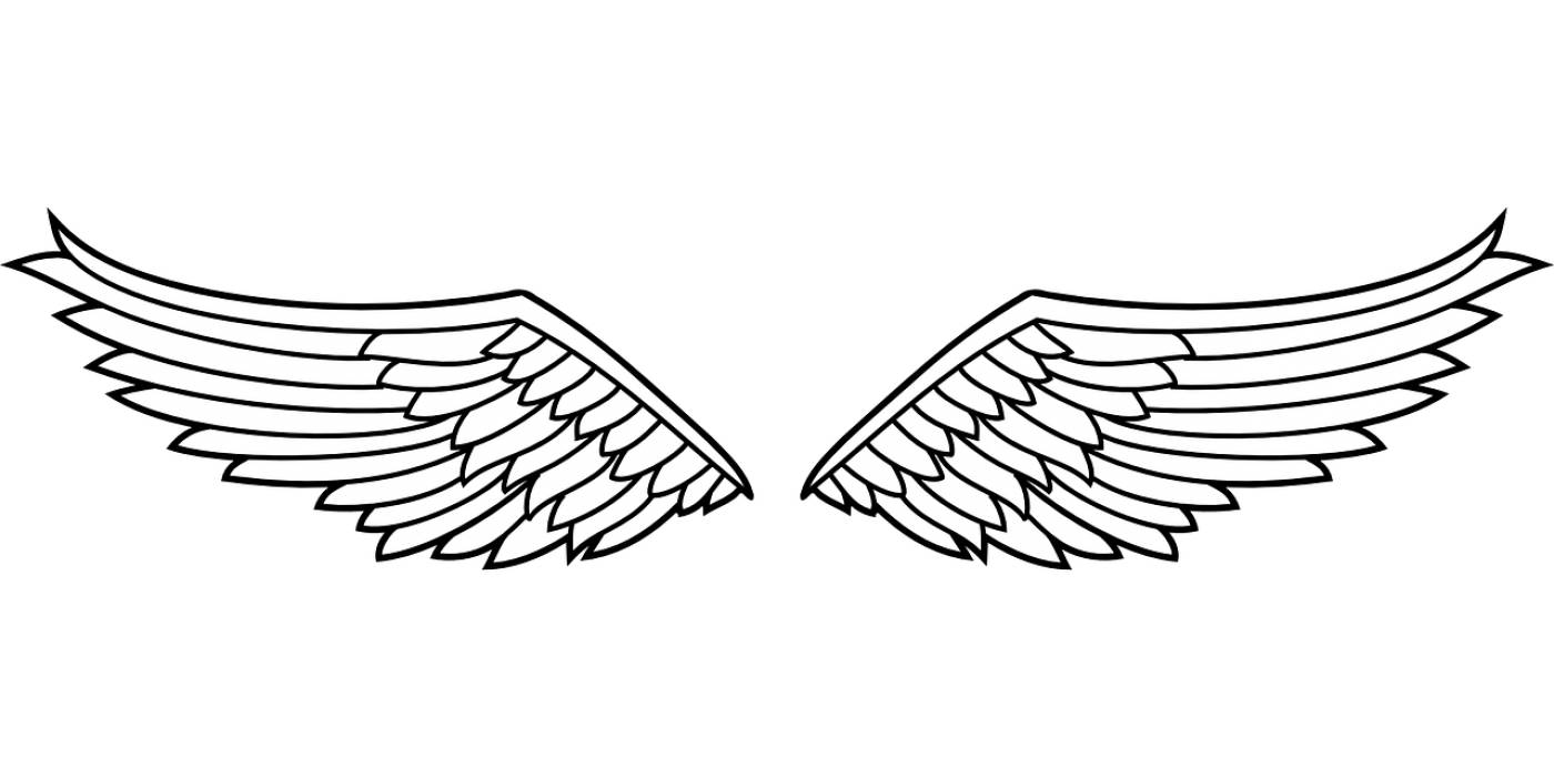 insignia wings eagle bird symbol  svg vector