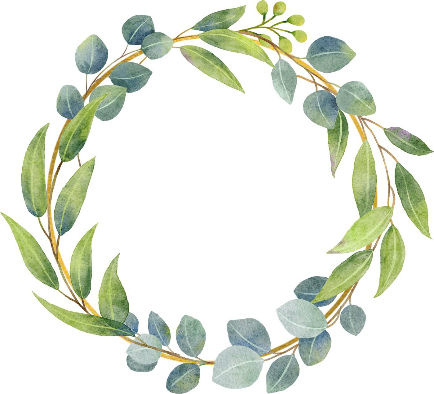 leaves wreath frame water color  svg vector