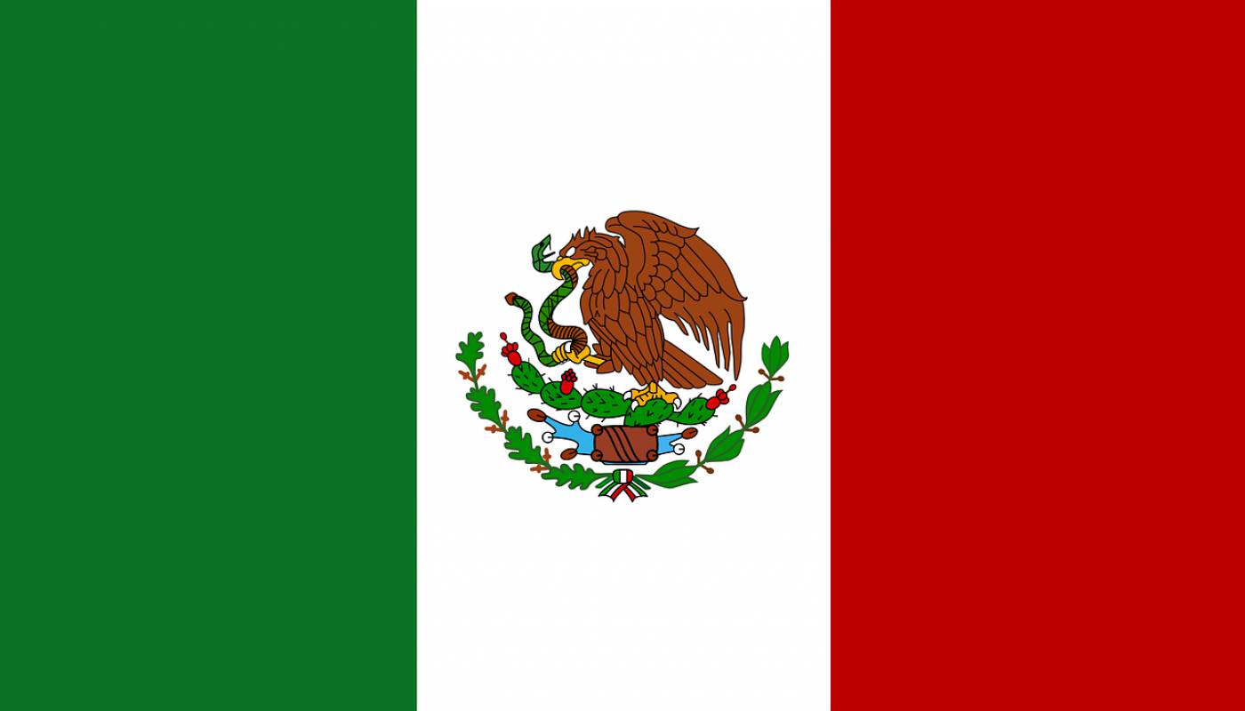 mexico flag mexican national  svg vector