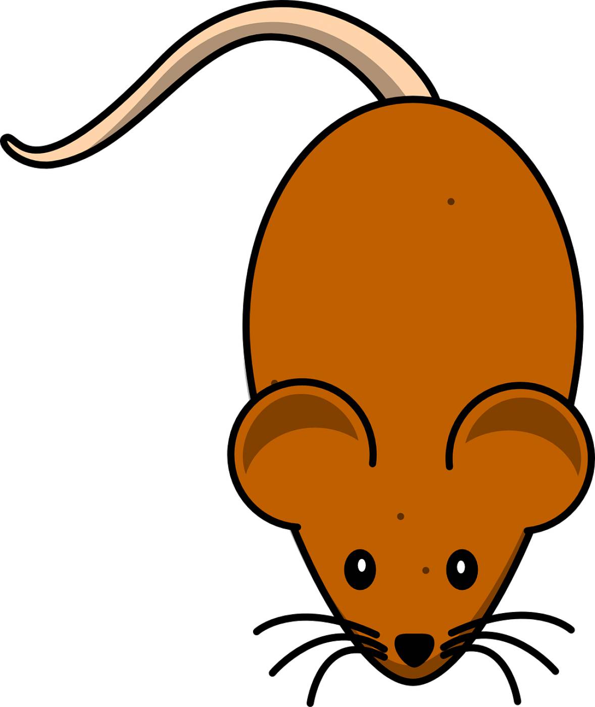 mice mouse brown rodent animal  svg vector