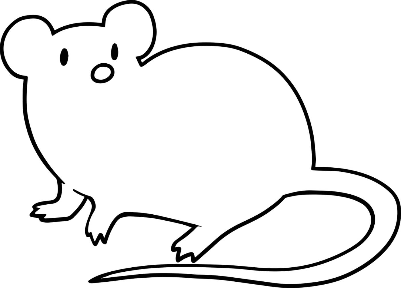 mouse animal line art rat rodent  svg vector