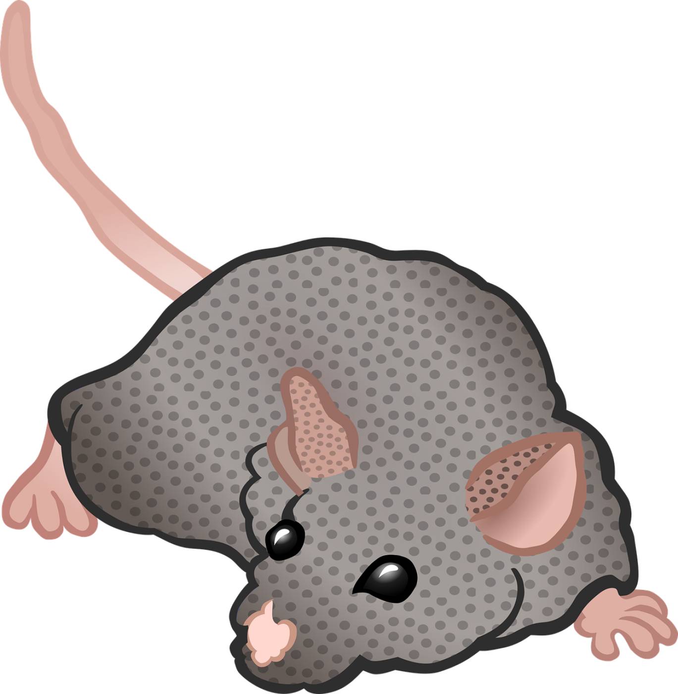 mouse animal rodent cartoon grey  svg vector