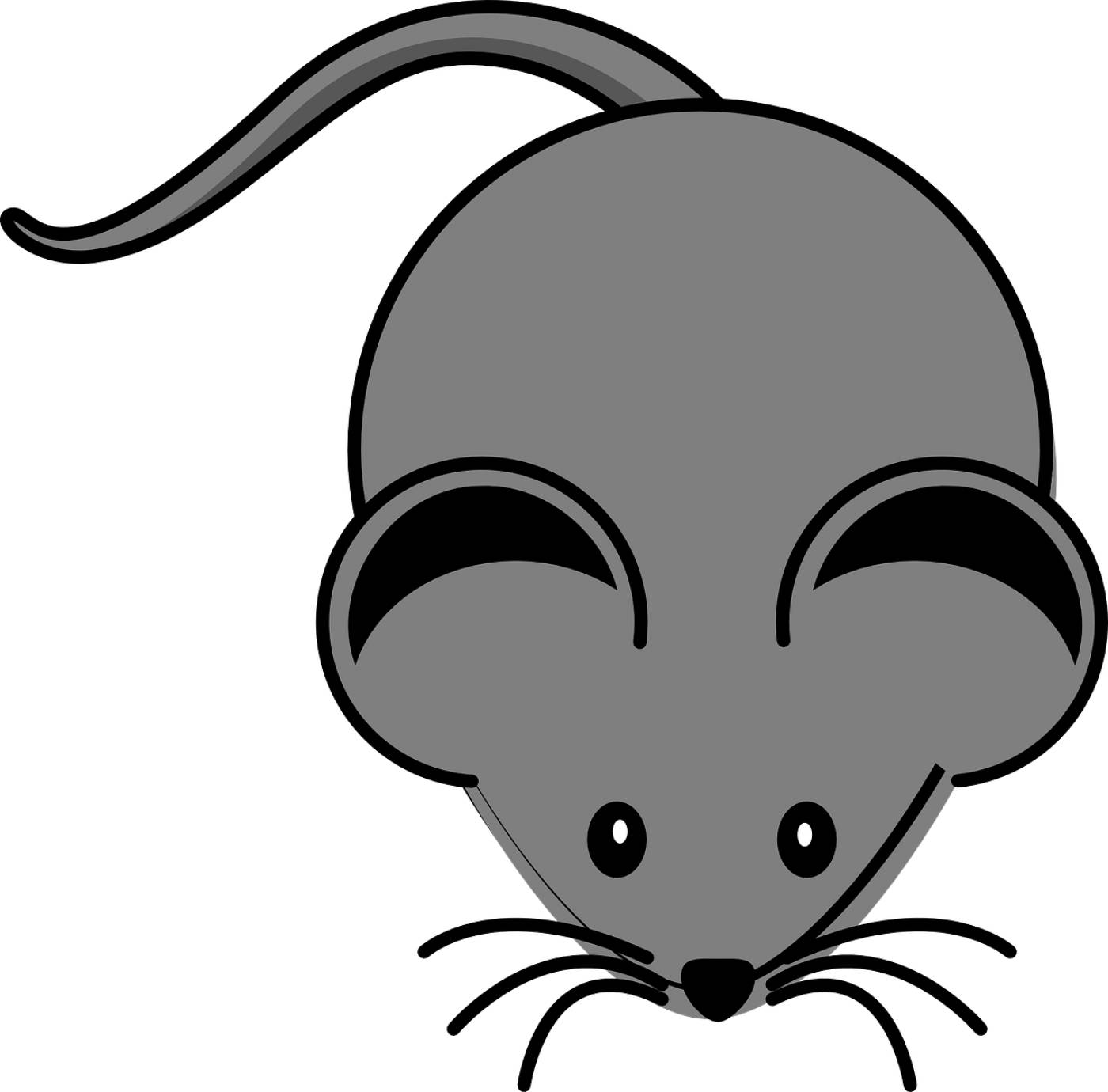 mouse animal rodent mammal little  svg vector