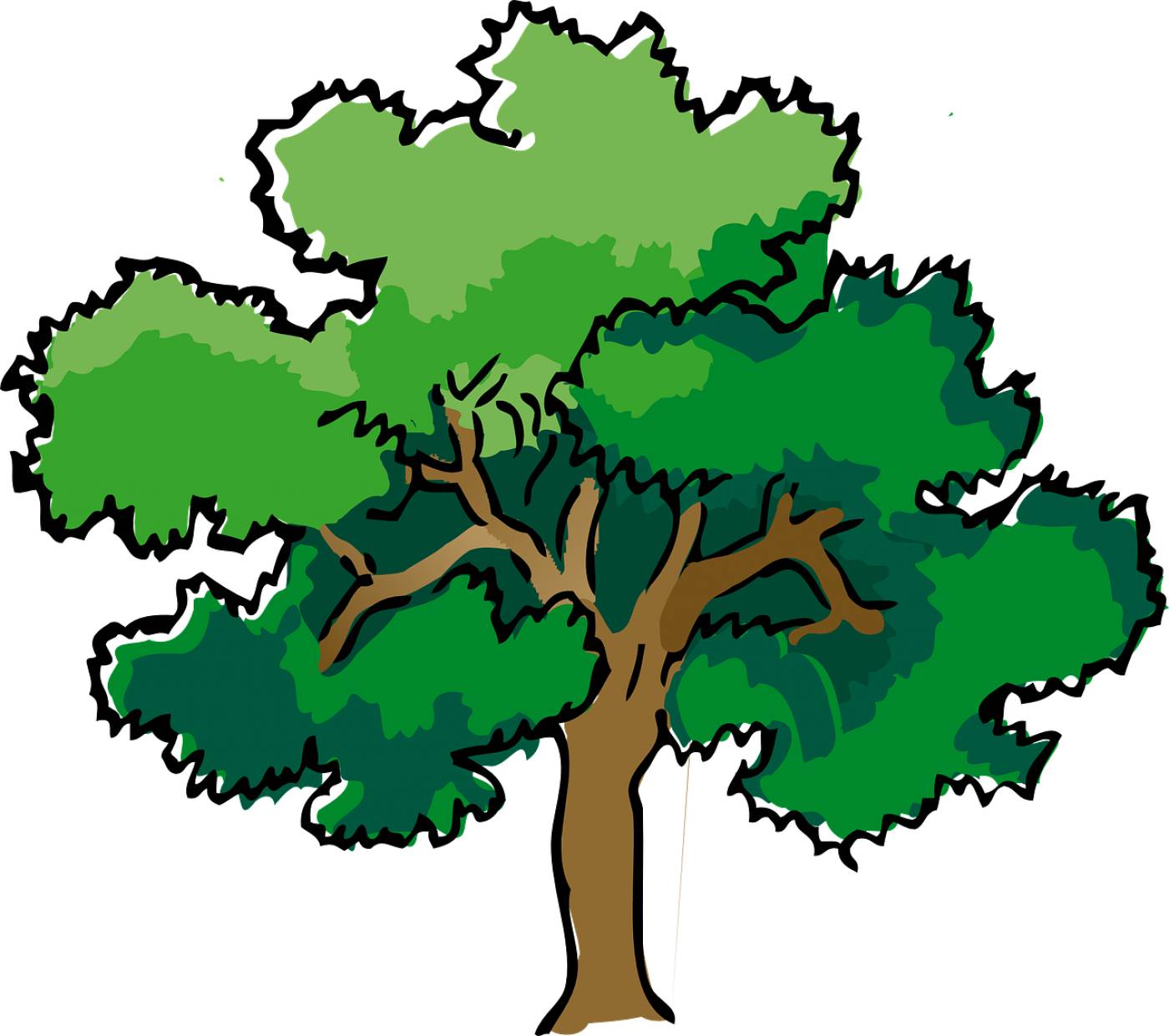 oak tree summer branches leaves  svg vector