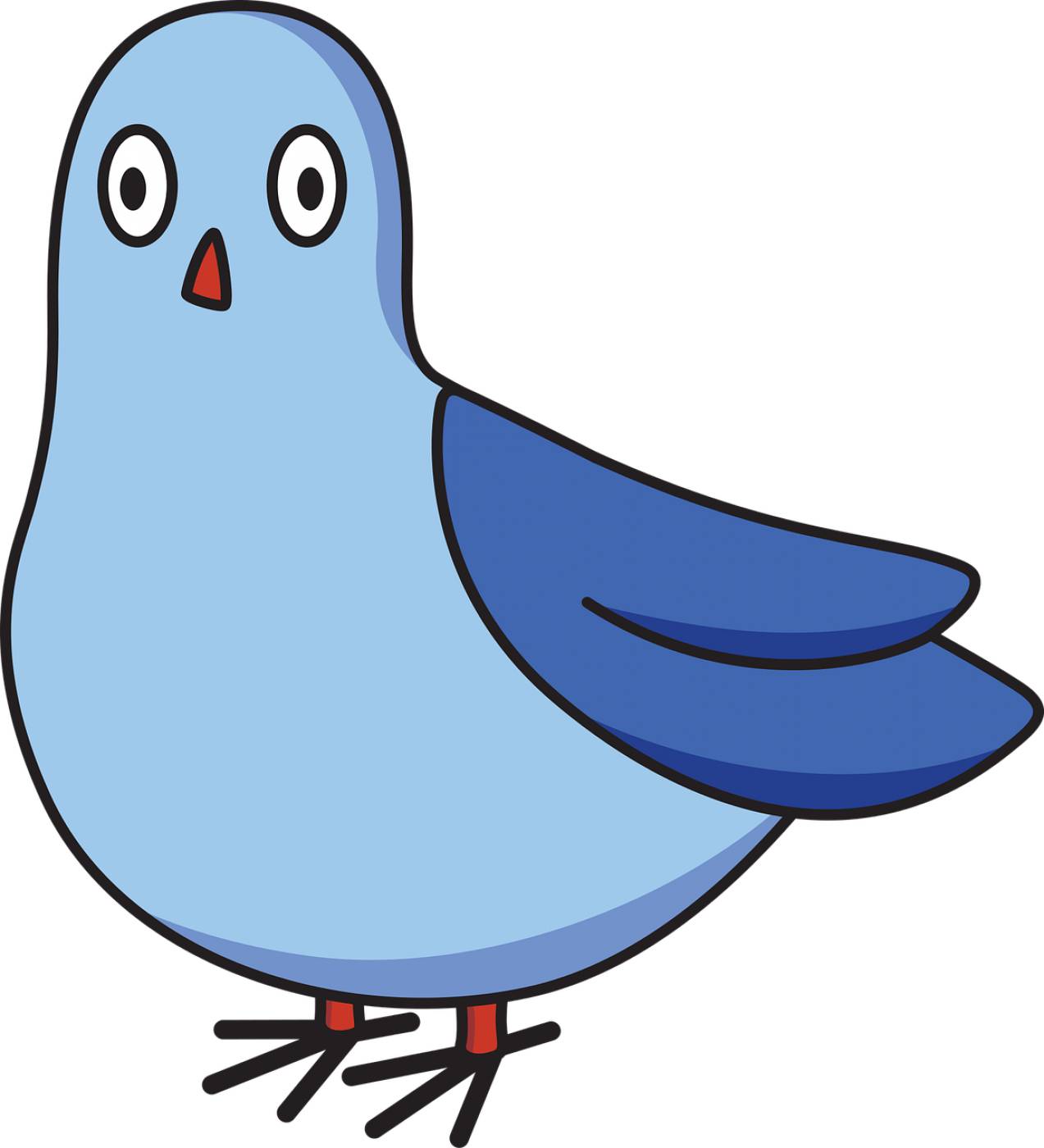 pigeon cartoon bird dove silly  svg vector
